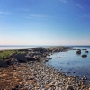 Bild från Barsebäcks Strand av @novak.valeri - #nature #instagramanet #sky #sun #summer #beach #beautiful #pretty #sunset #sunrise #blue #flowers #night #tree #twilight #clouds #beauty #light #cloudporn #photooftheday #love #green #skylovers #dusk #weathe