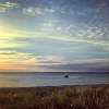 Bild från Barsebäcks Strand av @novak.valeri - #nature #instagramanet #sky #sun #summer #beach #beautiful #pretty #sunset #sunrise #blue #flowers #night #tree #twilight #clouds #beauty #light #cloudporn #photooftheday #love #green #skylovers #dusk #weathe
