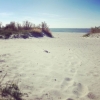 Bild från Habo Ljung Beach av @theve82 - the sea
#travelling #camping #campingtrip #sea #beach #sweden #sandbetweenmytoes