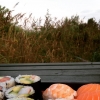 Bild från Bingsmarken Camping av @miaelliot_ - Sushi, the beach,  a warm evening and 2 of my two favorite guys...#heaven#holiday #family #sushi#beach