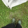 Bild av @hilmas_pappa - Husvagnscamping vid en sjö!!!