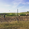 Bild från Rullsands havsbad och camping av @sushda40 - Lite beachvolley på programmet
