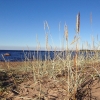 Bild från Rullsands havsbad och camping av @loppa1975 - Det var tufft att lämna det här igår. Ingen av oss ville åka hem. Men man kan ju inte gärna uppmana barnen att skolka för att få njuta av att bara vara i en dag till. Även om det är härligt för själe