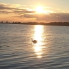 Bild från Warfsholm av @lofven - 