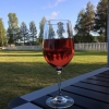 Bild från Kattisavans Camping av @evalenasfoton - Fredagsmys #gonecamping #rose #mulderbosch #fredagsmys #kattisavan #lappland #friday #manskahahusvagn