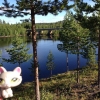 Bild från Meselefors Vandrarhem & Camping av @pilote832 - Framme på en helt underbar camping