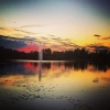 Bild från Linneasjön av @yoggicitrus - Nybro i juli.
#nybro #linneasjön #summer #Sweden #nybban