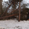 Nästan allt intakt på campingen efter nattens oväder... Alla vagnar har klarat sig, bara lite smågrejer som blåst omkring. Stuga 1 fick dock en törn av 3 St tallar, men det är nog ganska lätt åtgärdat.