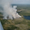 Malungs FK bevakar skogarna i NV Dalarna och Norra Värmland.