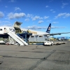 65 Islandshästar från Reykjavik med Icelandair och 189 passagerare med TUI från Mallorca :-). Ankomst fredag 16/9 - 2011.