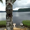Bild av @rolfanden - Naturskön insjövy. #avslappat #bilfritt #