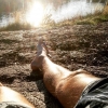 Bild från Västra Långvattnet av @joakim.o - #västralångvattnet #suninmyeyes #goodtimes #goodtimeswithgoodfriends
