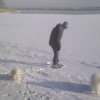 vinter vid byggninge