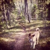 Bild av @madelenetaljeblad - Promenad runt sjön i det vackra vädret ☀️