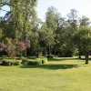Trädgården på Turistgården Haga
