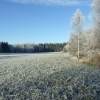 1e sneeuw
