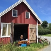 Bild från Fiskehamnen Bohus-Malmön av @rhedinsamuel - Vid veckans första soltimme öppnas sjöbodsateljén.