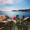 Bild från Klipporna, Bohus-Malmön av @halgekrans - Njuter i solen på stranden! #malmön