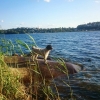 Bild från Badberget Edsviken av @nicolewestin - 