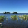 Frederiks spelar på Hampetorps Camping lördagen den 11 juli 19.00-24.00
Denna kväll räkafton med räkor, sallad, bröd och aioli för 169kr
Andra rätter finns i vår populära restaurang.
Pannkakor sylt o grädde till barnen 40kr
Ring och boka för att vara säkr