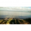 Bild från Brevik Vätterns Strand av @wubiiis - I swimmed for the first time this year this friday 