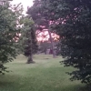 Kvällsbild från Solhaga Camping som är öppen till och med 21 /9 med andra ord Fårönattahelgen