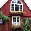 Blomsterprakt hos flickorna Lundgren på Skäret. Foto: (c) Kerstin Pilblad 2004. 