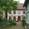 Mysiga trädgården