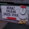 Bilder från Östanviks Gård
