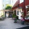 Ett vårigt fint och mysigt Yerba, några år gammalt foto.
