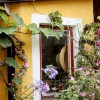 Gula huset. 