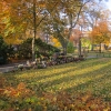 Minneslundens blommor.