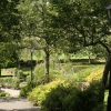 Vy över kyrkogården.