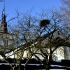 Förlösa Kyrka Jan. 2011