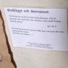 Texten till Katarina Stenings vepa