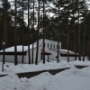 Kapellet bland tallarna.