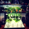 #ljus #bord #färg #housedoctor #blommor #viosblomsterhandel