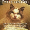 Ikväll bjuder gammelkatten DJ lövet upp till dans! 21-01 i trädgården #sommarkatten #mjaumjau