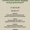 Lunch v.37
