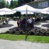 sommarbild