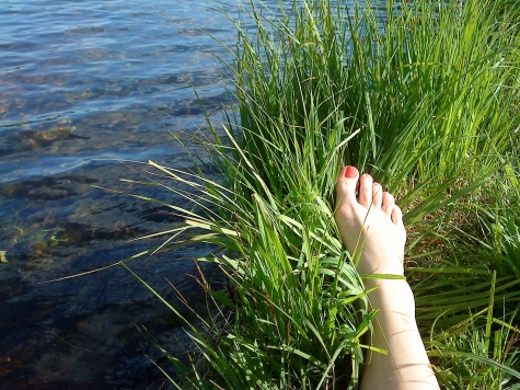 Mettjärnen