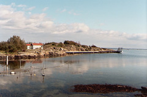Donsö Korsholmen