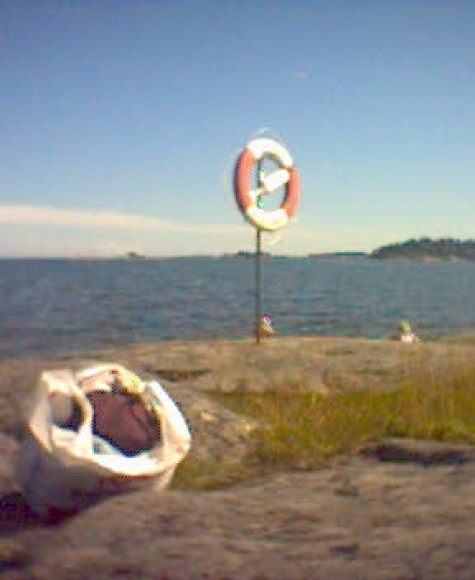 Gryt, Ekön