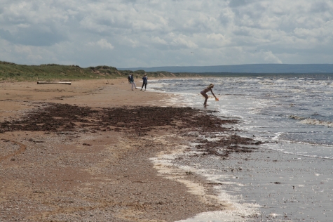 Gullbranna