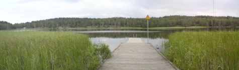 Härlanda tjärn
