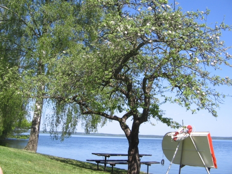 Midingsbråte