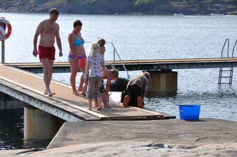 Rörtången