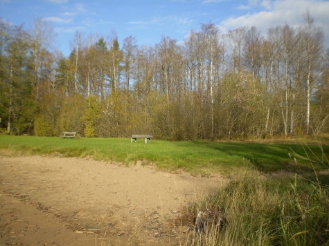Törnåkra, Salen