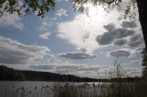 Sibborpesjön