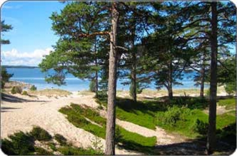 Hölick, Storsand